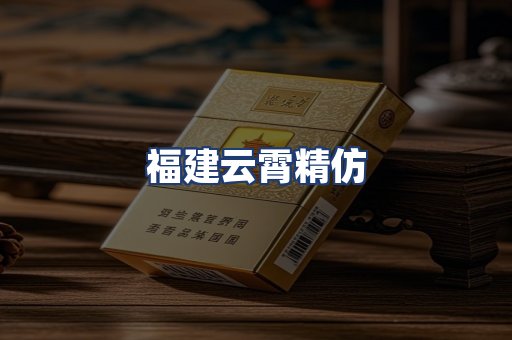 福建云霄精仿